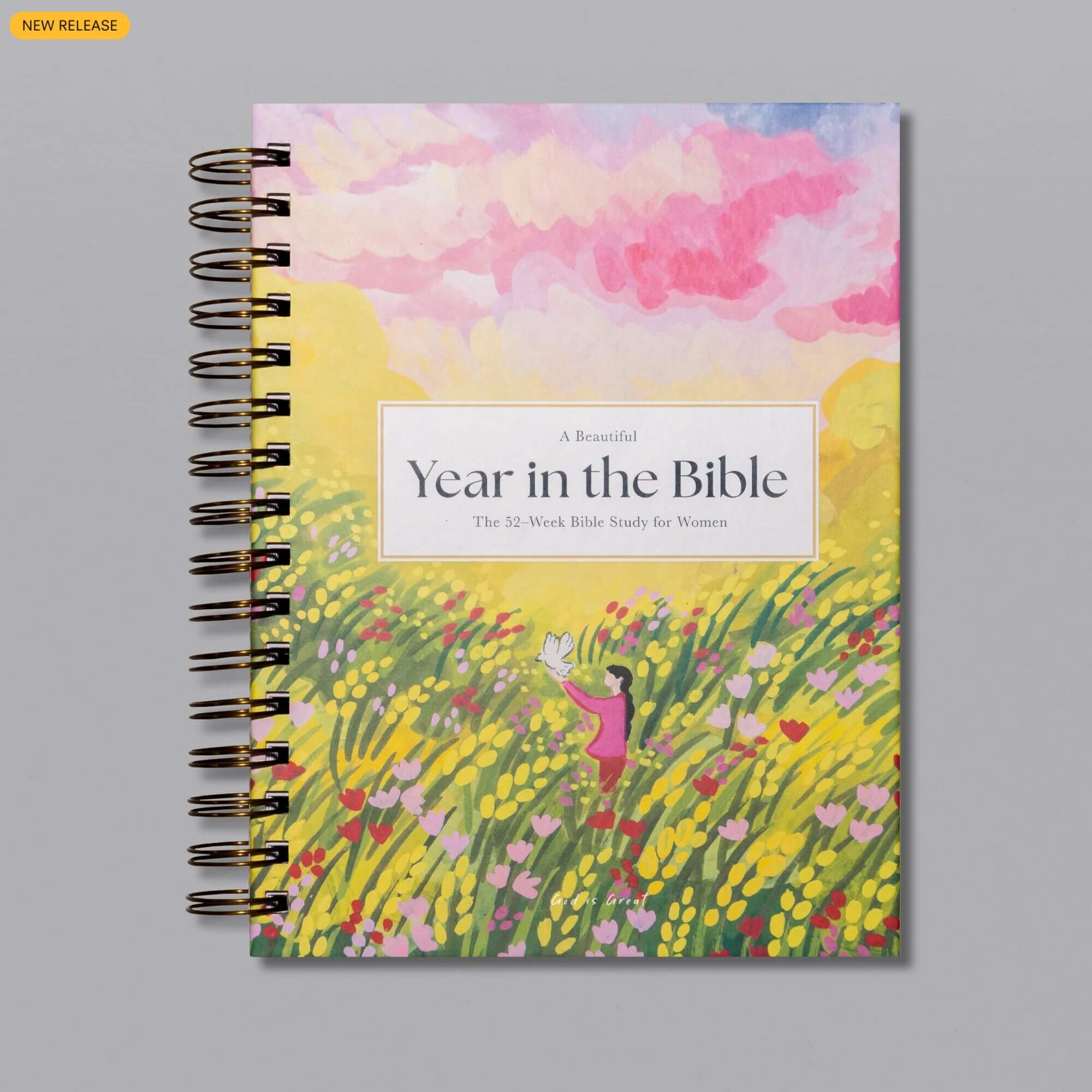 A Beautiful Year in the Bible Study